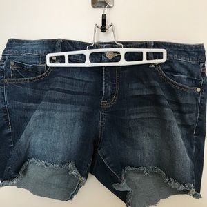 Torrid shorts